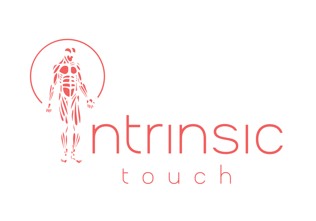 Intrinsic Touch logo